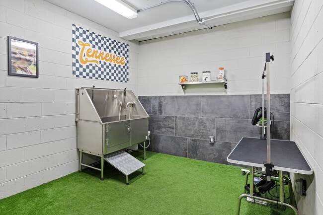 Dog Wash