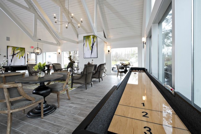 Fun and Games-Shuffleboard and Pool Table