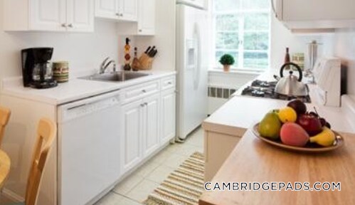 Photo - 18 Chauncy St Unidad 8