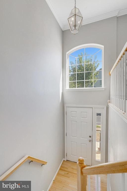 Photo - 6502 Trask Terrace