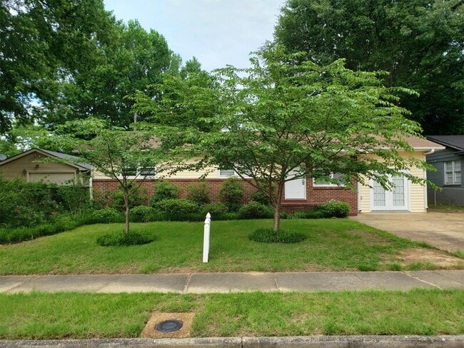 Building Photo - 548 Mineral Rd