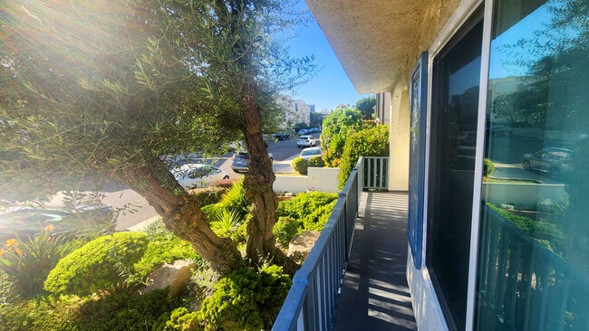 Photo - 1246 Brockton Ave