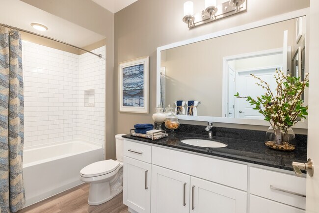 Designer Collection Bath