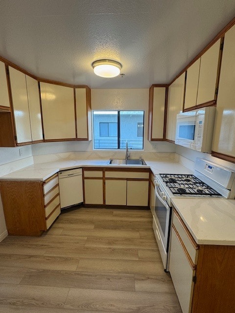 Building Photo - 501 S Shelton St Unit 203