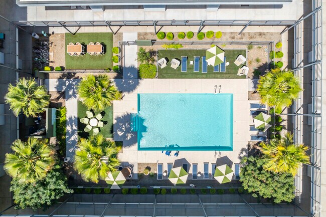 Resort-Style Swimming Pool - The 89 on Hayden Apartments