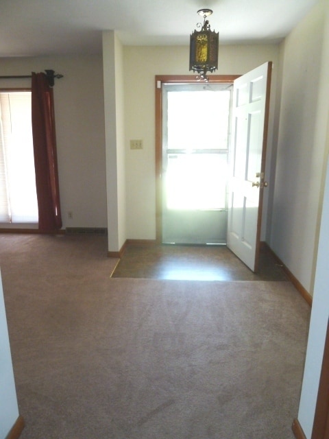 Photo - Walk to Campus! Incredible location, amazi...