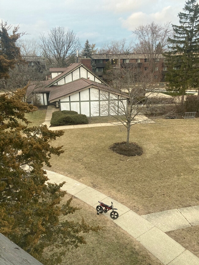 Building Photo - 513 Timber Ridge Dr