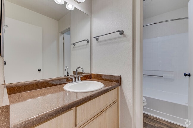 1HAB, 1BA - 1,013 ft² - Baño