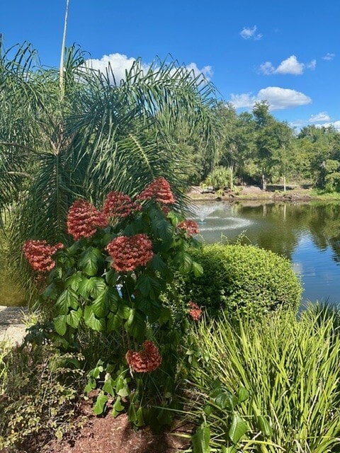 Photo - 4710 Lighterwood Way