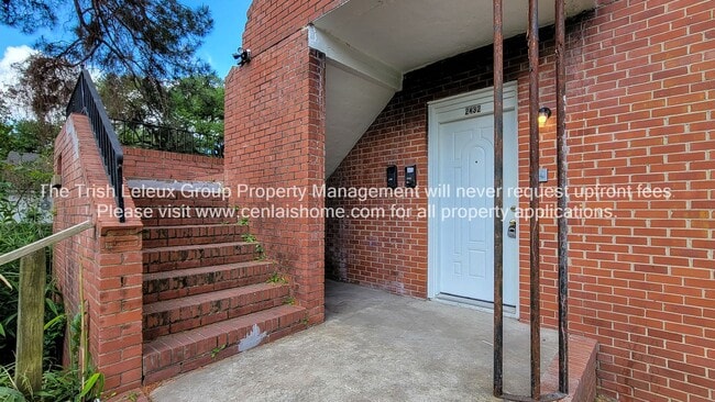 Photo - ** Large 1/1 ready now**