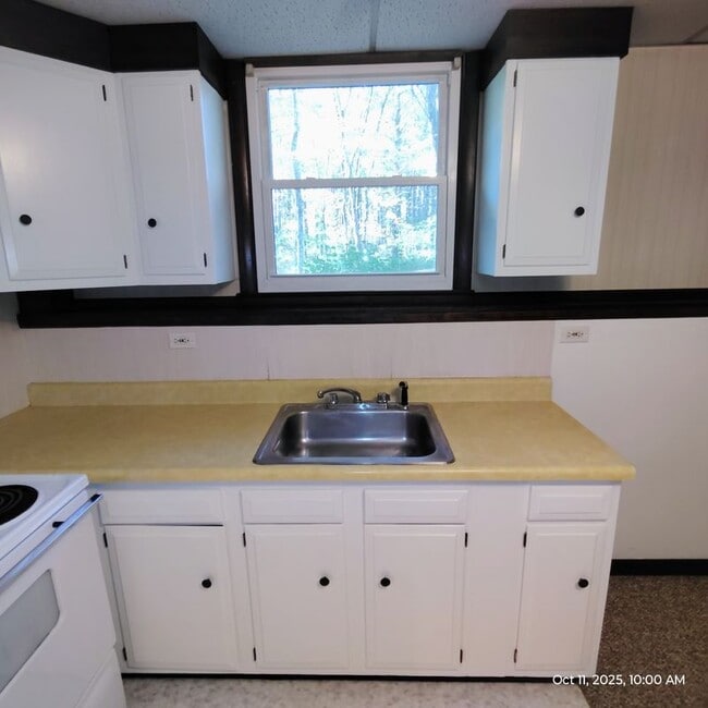 Photo - 124 Mammoth Rd