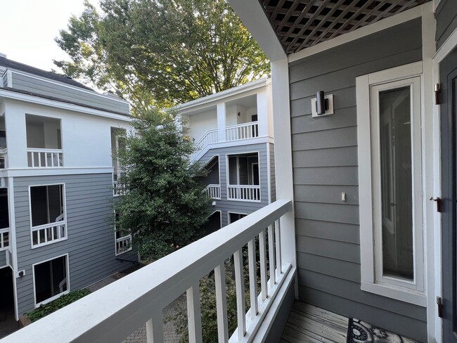 offering-waived-application-fees-100-condominio-raleigh-nc