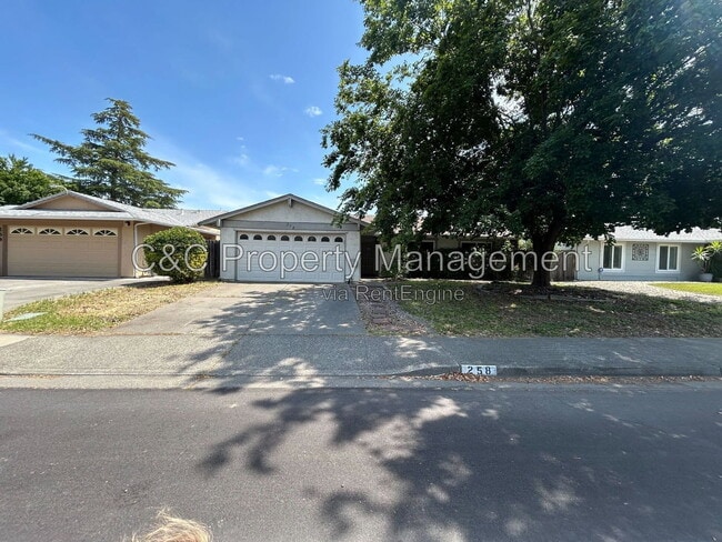 Photo - 258 Yellowstone Dr