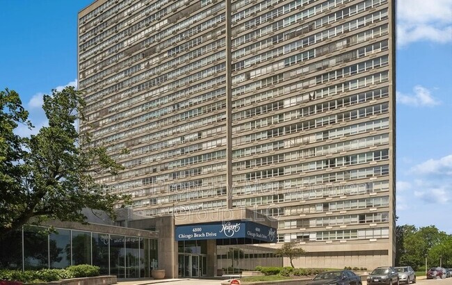 Building Photo - 4800 S Chicago Beach Dr Unit 308S Rental