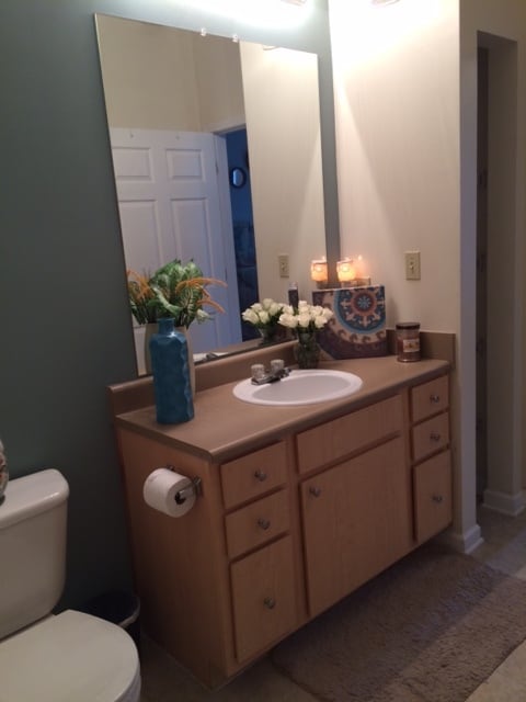 Bathroom - 624 Bristol Village Dr Unit 208