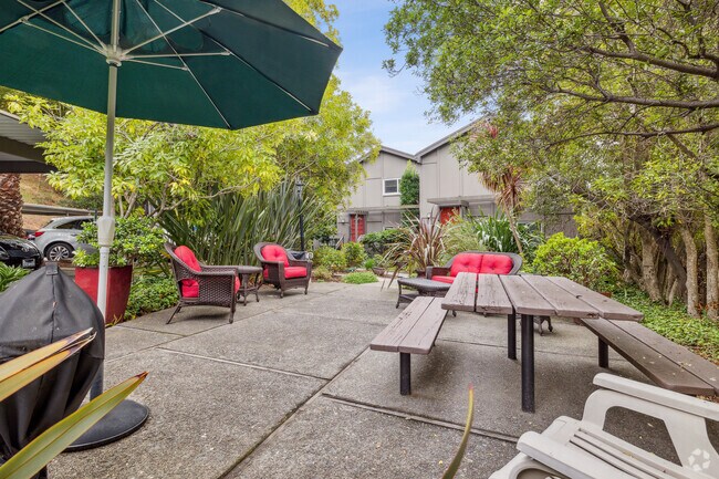 Common Area for Picnics and BBQs