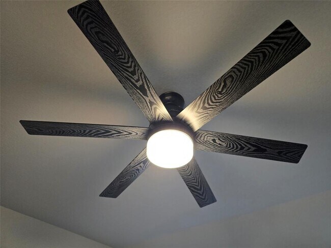 Photo - 602 Pearly Eye Dr