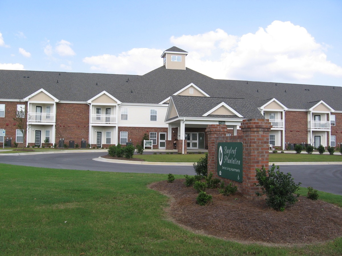 Bayleaf Plantation - Bayleaf Plantation