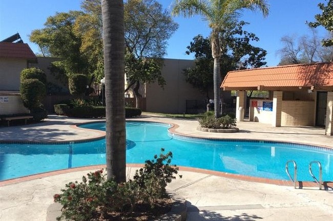 Pool/Sauna/Hot tub/BBQ area - 6811 Alvarado Rd Unit 2nd flr