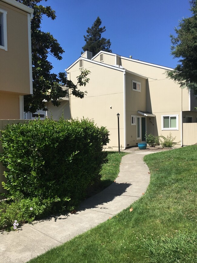 Camino Colegio Estates