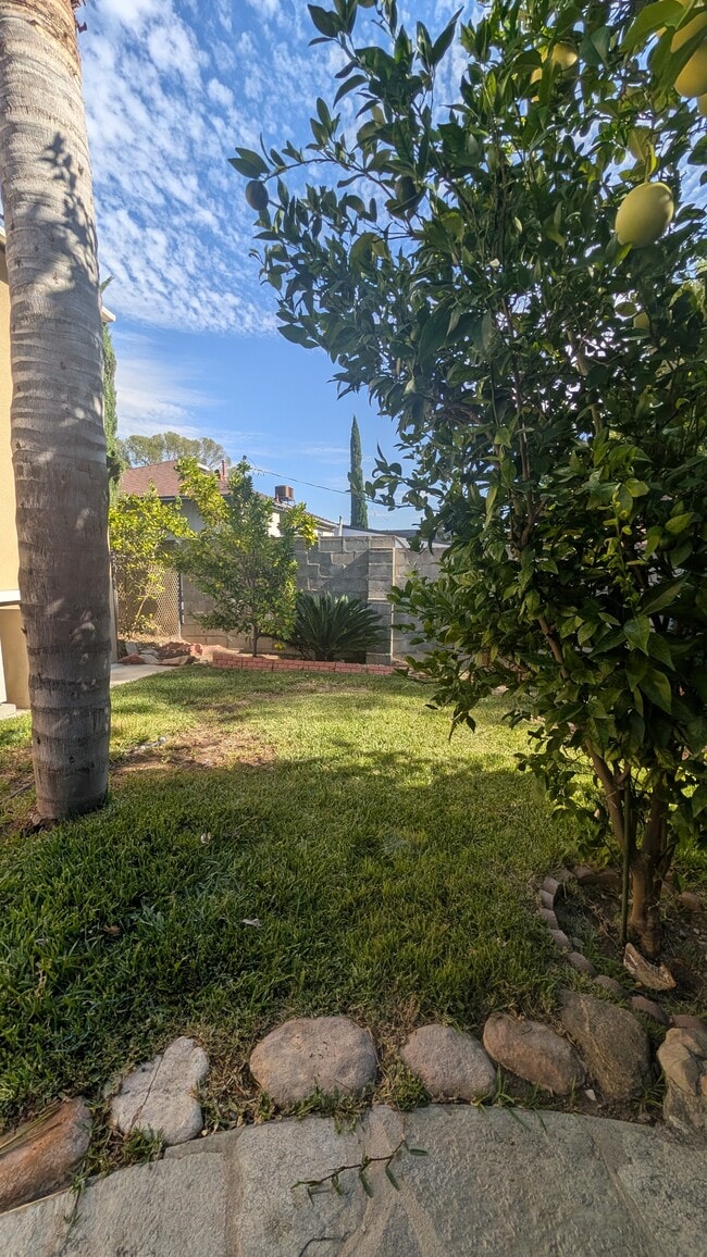 Photo - 3232 Brookhill St