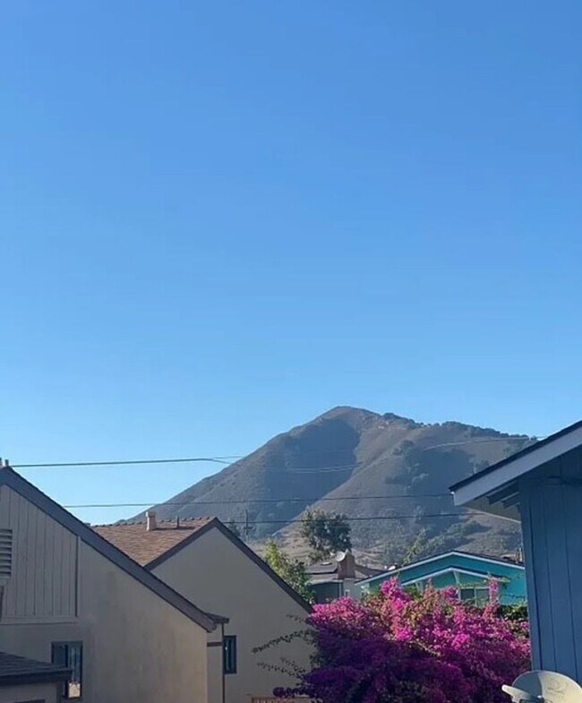 Photo - Charming 1 Bedroom/1.5 Bath Apartment With Loft