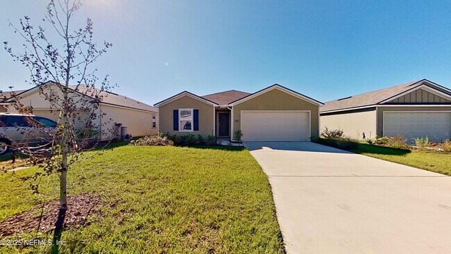 Photo - 12452 Rubber Fig Ter