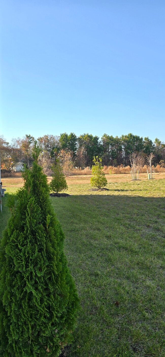 Photo - 35169 Wright Way