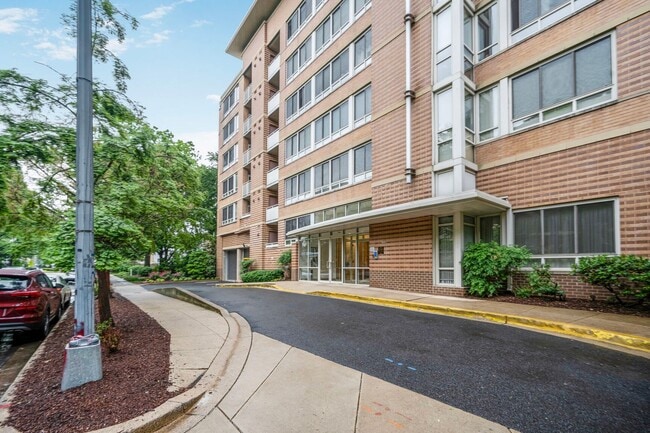 Beautifully Renovated 1BR Condo With Balco... - Beautifully Renovated 1BR Condo With Balco...