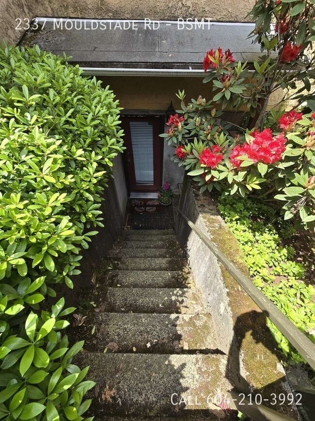 Photo - Cozy Basement Suite - Utilities Included Unité BSMT