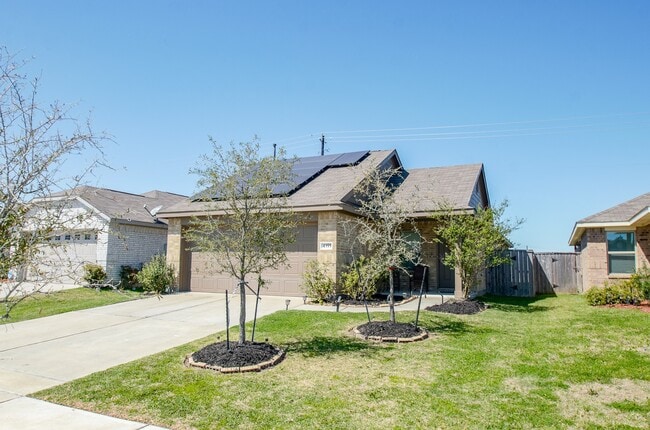 Photo - 4355 Palmetto Grv Ln