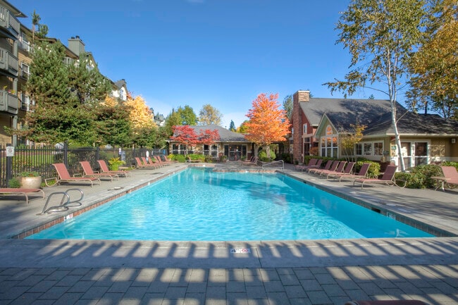 Swimming pool - Avalon at Bear Creek Apartments