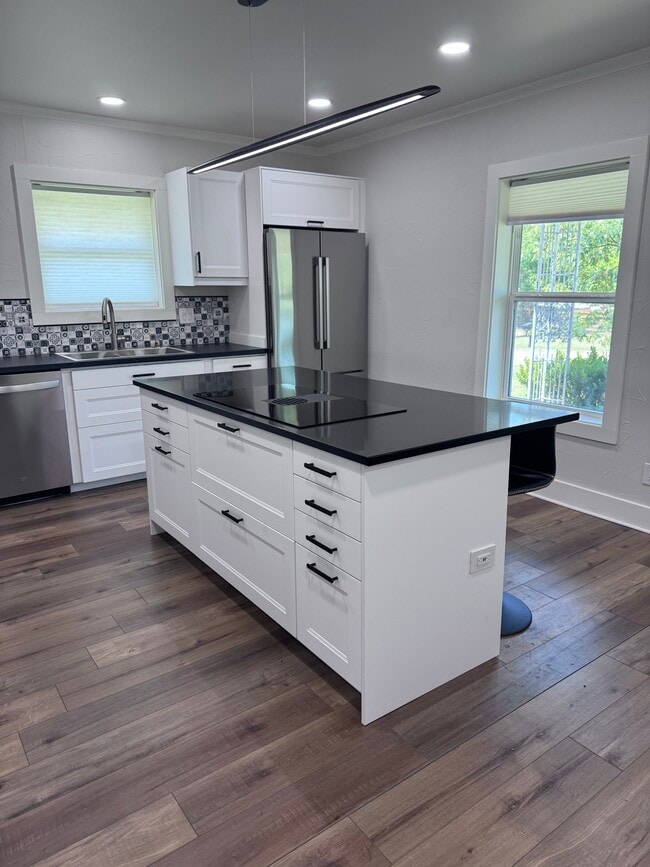 Island induction cooktop with down-draft exhaust and TONS of storage - 108 Henry Ln