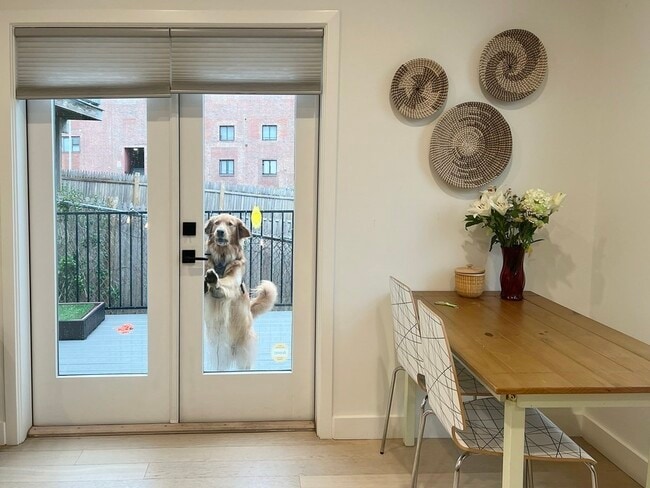 Photo - 360 Meridian St