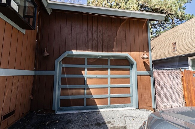 Photo - Sugarloaf Cutie