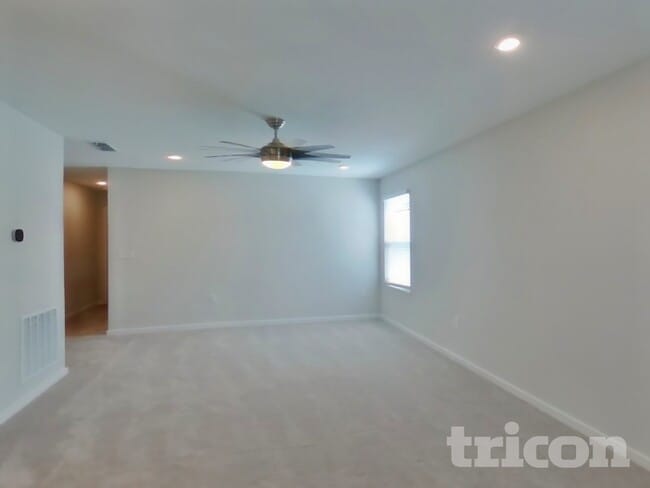 Photo - 64 Brazil Nut Cir