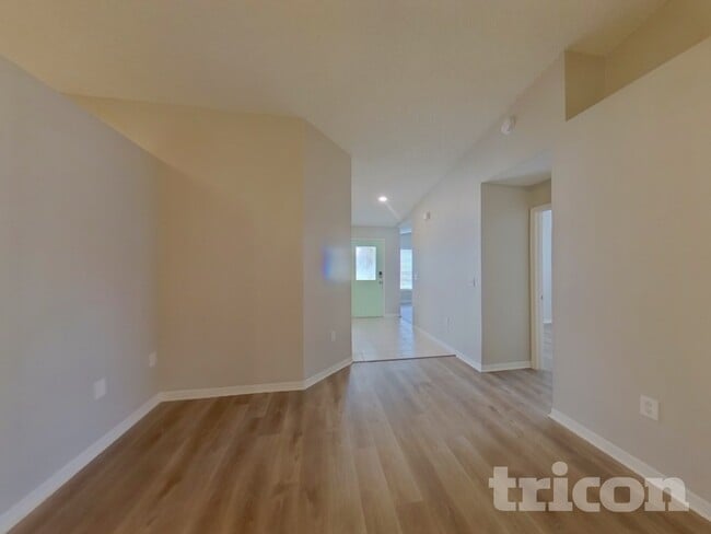 Photo - 2009 Kiwi Trail