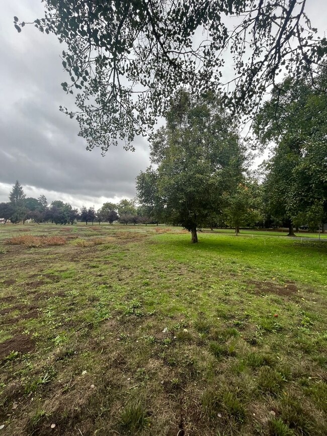 Photo - 1625 River Loop 1 Unidad 1