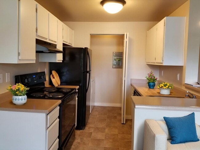 Photo - The Vineyards