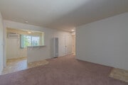 1BR, 1BA - 600SF - Living Room