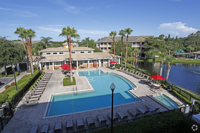 Building Photo - Trinity Palms at Seven Springs Rental