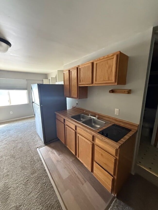 Building Photo - Studio- Ample Parking Next To MSU Rental