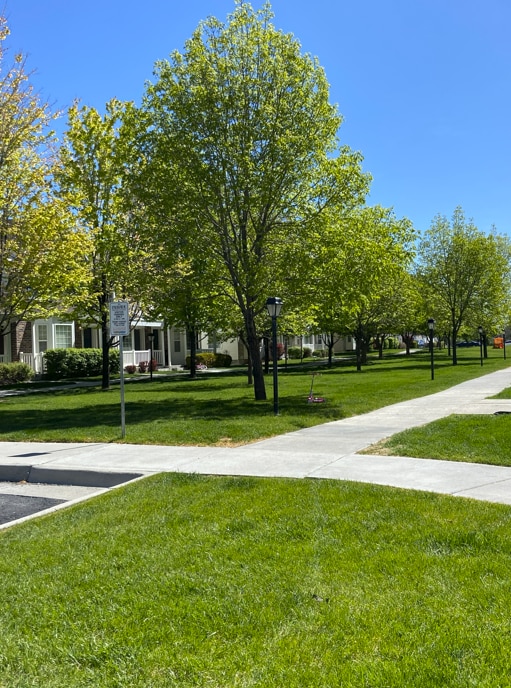 Photo - 879 Capital Ave