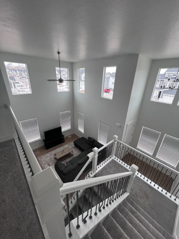 Photo - 3695 Big Horn Dr