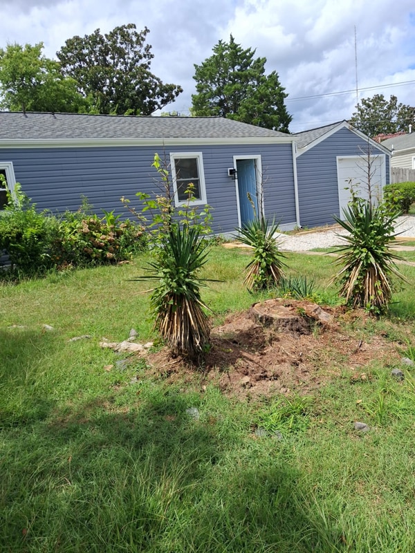 Photo - 1311 Wingfield Ave
