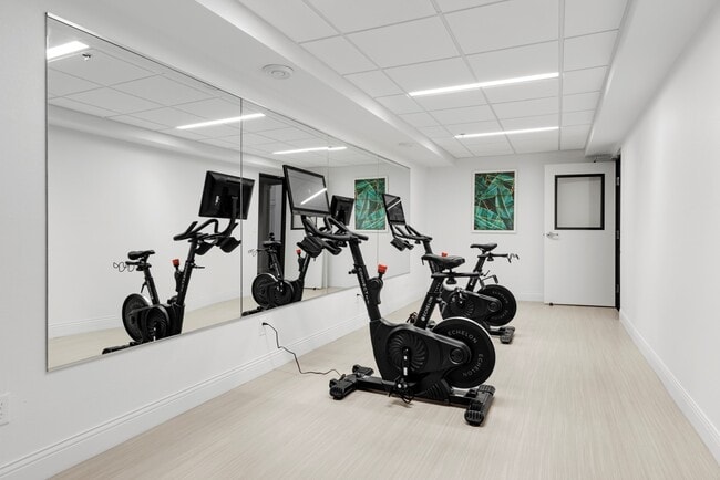 Gimnasio