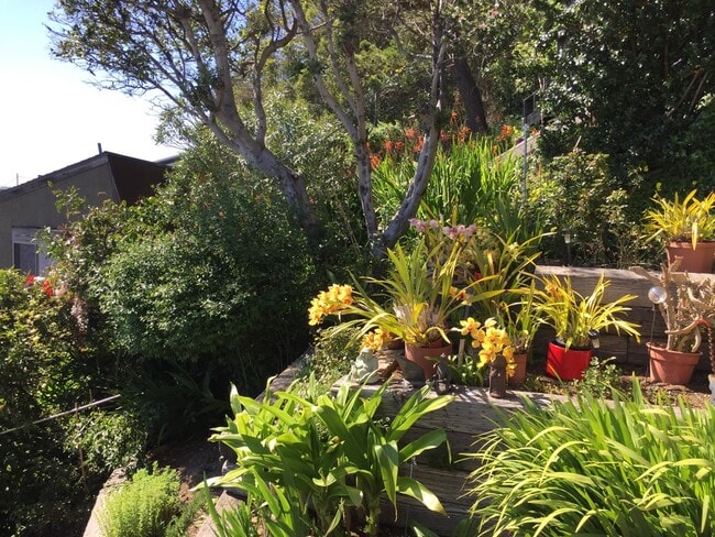 Photo - 869 Ocean Ave