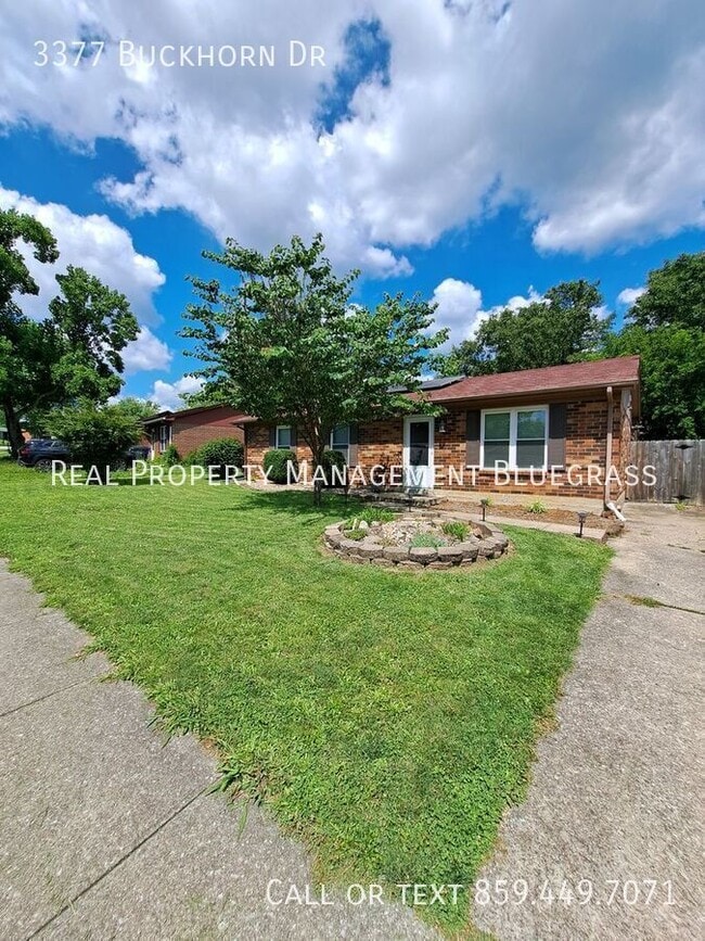 Building Photo - 3377 Buckhorn Dr