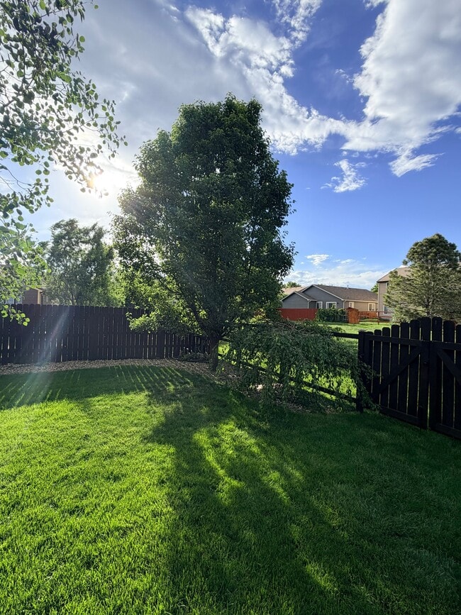 Photo - 3826 Lochside Ln
