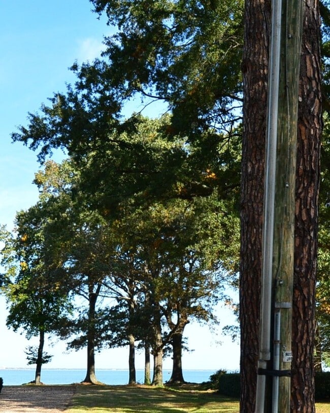 Photo - Water View, private wooded lot on dead end street!